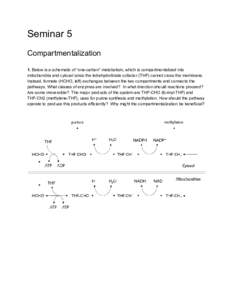 Seminar 5  Compartmentalization    1.​  Below is a schematic of “one­carbon” metabolism, which is compartmentalized into  mitochondria and cytosol since the tetrahydrofolate cofactor (THF) 