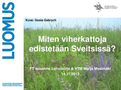 Kuva: Gosia Gabrych  Miten viherkattoja edistetään Sveitsissä? FT susanna Lehvävirta & VTM Marja Mesimäki