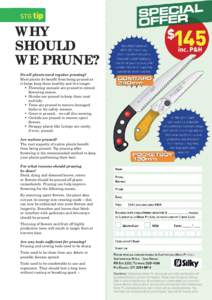 STG tip  WHY SHOULD WE PRUNE? Do all plants need regular pruning?