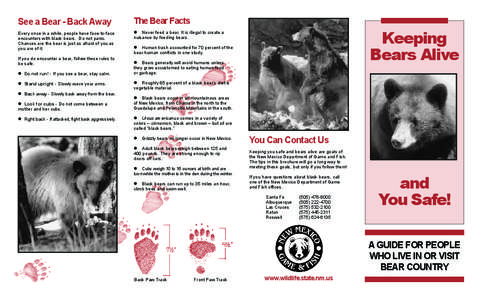 See a Bear - Back Away  The Bear Facts Every once in a while, people have face-to-face encounters with black bears. Do not panic.