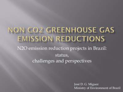 N2O emission reduction projects in Brazil: status, challenges and perspectives José D. G. Miguez Ministry of Environment of Brazil