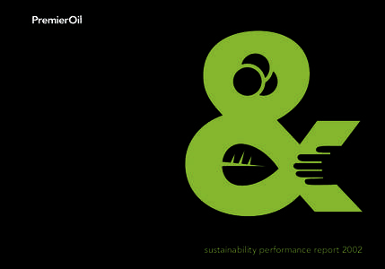 sustainability performance report 2002  VISION AND STRATEGY 3  letter from the chief executive