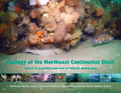 Ecology of the Northeast Continental Shelf Toward an Ecosystem Approach to Fisheries Management Northeast Fisheries Science Center and Northeast Regional Office, National Marine Fisheries Service  foreword