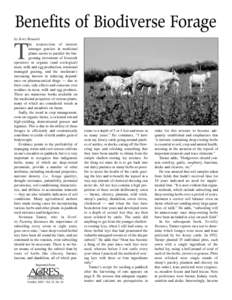 Benefits of Biodiverse Forage by Jerry Brunetti he resurrection of interest amongst graziers in medicinal plants seems to parallel the burgeoning movement of livestock operators in organic (and ecological)