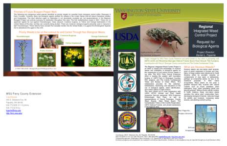 Garden pests / Land management / Biology / Larinus minutus / Cyphocleonus achates / Diffuse knapweed / Noxious weed / Centaurea / Biological pest control / Curculionidae / Agriculture / Invasive plant species