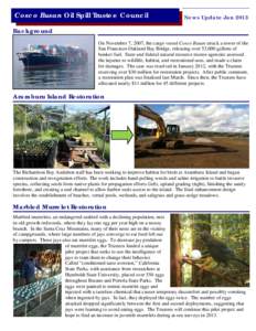 Cosco Busan Oil Spill Trustee Council  News Update Jan 2013 Background On November 7, 2007, the cargo vessel Cosco Busan struck a tower of the