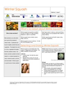 Winter Squash Volume 1, Issue 7 http://panen.org  [removed]