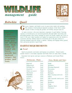 management Bobwhite Wildlife Management Section South Carolina Department of Natural Resources