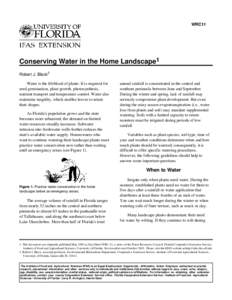 WRC11  Conserving Water in the Home Landscape1 Robert J. Black2 Water is the lifeblood of plants. It is required for seed germination, plant growth, photosynthesis,