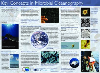 Key Concepts in Microbial Oceanography What is Microbial Oceanography? Microscopic organisms (or microbes) are the most abundant life forms on Earth. Microbial oceanography is the study of the abundance, distribution, gr