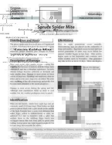 Entomology REVISED 2003 PUBLICATION[removed]Spruce Spider Mite