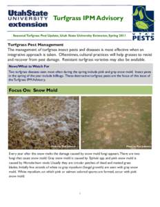 Turfgrass IPM Advisory Seasonal Turfgrass Pest Update, Utah State University Extension, Spring 2011 Turfgrass Pest Management  The management of turfgrass insect pests and diseases is most effective when an