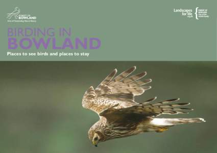 1  Accommodation Birding	in	Bowland