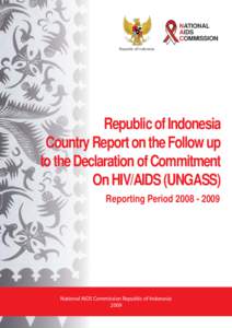 INDONESIA UNGASS REPORT[removed]