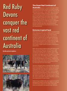 Red Ruby Devons conquer the vast red continent of Australia