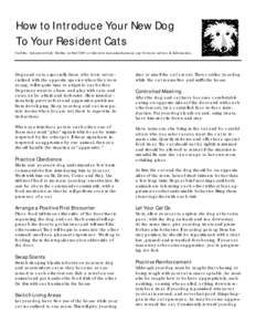 Microsoft Word - How to Introduce Your New Dog to Your Cat.doc