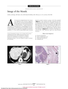 SPECIAL FEATURE SECTION EDITOR: GRACE S. ROZYCKI, MD Image of the Month Clark J. Zeebregts, MD; Barry Slot, MD; Marie¨l Brinkhuis, MD, PhD; Jos J. G. M. Gerritsen, MD, PhD