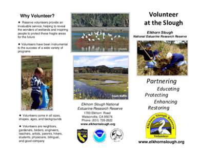 Volunteer  at the Slough Why Volunteer?  Reserve volunteers provide an invaluable service, helping to reveal