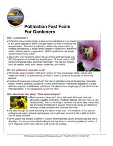 Pollination Fast Facts For Gardeners What is pollination?  Pollination occurs when pollen grains are moved between two flowers of the same species, or within a single flower, by wind or animals that are pollinators. S