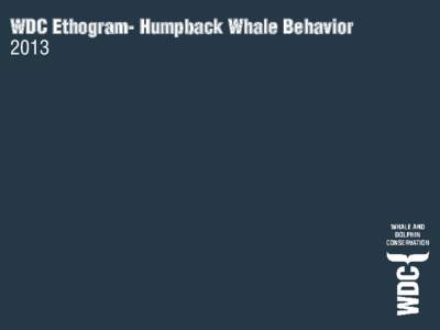 WDC Ethogram- Humpback Whale Behavior 2013 List of Behaviors Feeding Behaviors General Behaviors