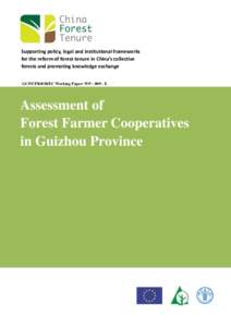 Supporting policy, legal and institutional frameworks for the reform of forest tenure in China’s collective forests and promoting knowledge exchange GCP/CPR/038/EC Working Paper: WP – 009 - E  Assessment of