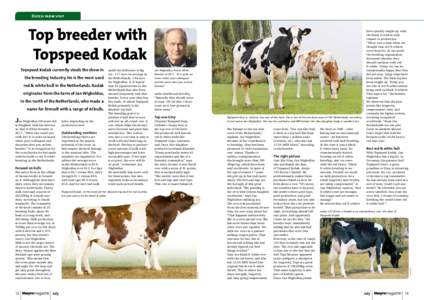 Dutch farm visit  Top breeder with Topspeed Kodak  red & white bull in the Netherlands. Kodak