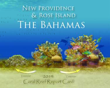 New Providence & Rose Island The Bahamas  Today
