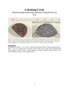 Calcalong Creek Basalt-bearing anorthositic (polymict) regolith breccia 19 g Figure 1: Left: Exterior photo of Calcalong Creek showing the shiny fusion crust as well as some rusty regions from terrestrial weathering. Rig