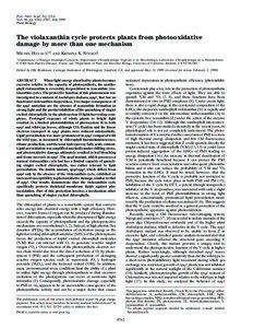 Proc. Natl. Acad. Sci. USA Vol. 96, pp. 8762–8767, July 1999 Plant Biology