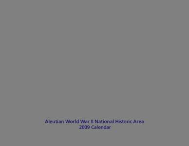 Physical geography / Adak Island / Kiska / Curtiss P-40 Warhawk / Aleutian Islands / Eareckson Air Station / 904th Air Refueling Squadron / Aleutian Islands Campaign / Alaska / Eleventh Air Force