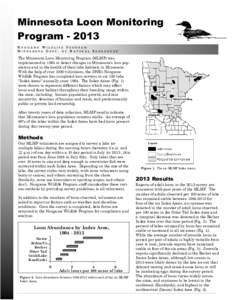 Minnesota Loon Monitoring Program 2013 Annual Report