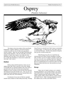 Wildlife Notebook Series No. 7  Utah Division of Wildlife Resources Osprey (Pandion haliaetus)