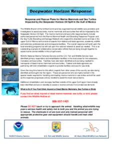 Response and Rescue Plans for Marine Mammals and Sea Turtles Impacted by the Deepwater Horizon Oil Spill in the Gulf of Mexico The Wildlife Branch of the Unified Command has organized trained wildlife care providers and 