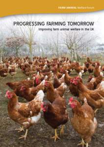 Food and drink / Animal welfare / Animal cruelty / Livestock / Cattle / Compassion in World Farming / Free range / Battery cage / Agriculture in the United Kingdom / Agriculture / Poultry farming / Zoology