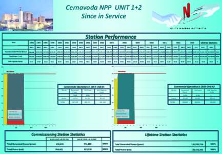 Cernavoda NPP UNIT 1+2 Since in Service Station Performance Year  1996