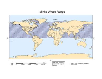 Minke Whale Range  j - 1V~f