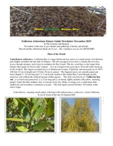 Fullerton Arboretum Nature Guide Newsletter November 2015 In The Cement with Bement November is the time to give thanks and gathering of family and friends. Myself and the Arboretum thank all of you. Our volunteers you a