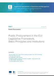 Brief 1  January 2011 Public Procurement