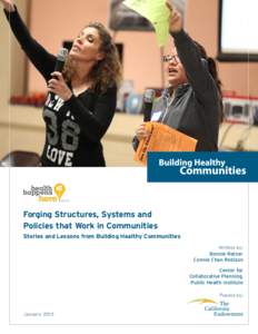 Forging Structures, Systems and Policies that Work in Communities Stories and Lessons from Building Healthy Communities Written by:  Bonnie Ratner