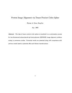 Protein Image Alignment via Tensor Product Cubic Spline Florian A. Potra, Xing Liu Apr., 2005 Abstract