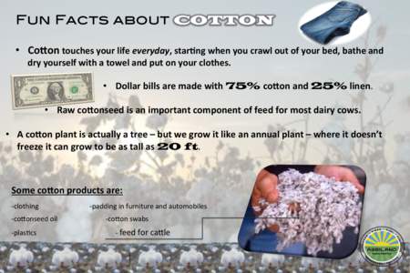 Fun Facts about COTTON 	
   •  CoOon	
  touches	
  your	
  life	
  everyday,	
  star1ng	
  when	
  you	
  crawl	
  out	
  of	
  your	
  bed,	
  bathe	
  and	
   dry	
  yourself	
  with	
  a	
  tow