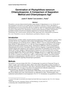 General Technical Report PSW-GTR-243  Germination of Phytophthora ramorum Chlamydospores: A Comparison of Separation Method and Chlamydospore Age 1 Justin P. Shaffer 2 and Jennifer L. Parke2