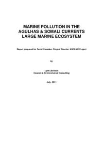 MARINE POLLUTION IN THE ASCLME