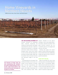 Home Vineyards in Northern Nevada Story by Leslie Allen, Grant Cramer, and Wendy Hanson