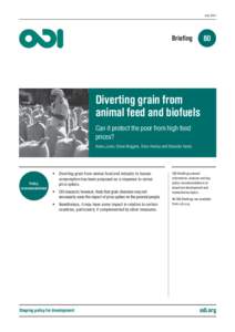 Diverting grain from animal feed and biofuels: can it protect the poor from high food prices? - ODI Briefing 80 - Research reports and studies;;Briefing papers