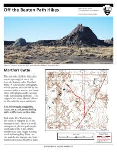 Martha / Petroglyph / Arizona / Prehistory / Archaeology / Native American art / Petrified Forest National Park / Petrified wood