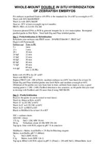WHOLE-MOUNT DOUBLE IN SITU HYBRIDIZATION OF ZEBRAFISH EMBRYOS Fix embryos in prefered fixative (4% PFA is the standard) for 3h at RT or overnight at 4˚C. Wash with 50% MeOH/PBST Wash 2x with 100% MeOH Store at -20˚C at