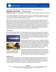AQUATIC LANDS HABITAT CONSERVATION PLAN — Species Spotlight  Pacific herring – Clupea pallasi Protection status: State candidate in Washington State (federal species of concern)