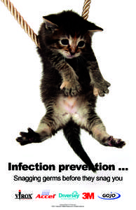 Infection prevention … Snagging germs before they snag you www.webbertraining.com ©2011 Copyright Webber Training Inc. All rights reserved. ©2010