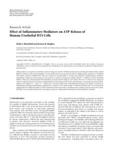 Effect of Inflammatory Mediators on ATP Release of Human Urothelial RT4 Cells